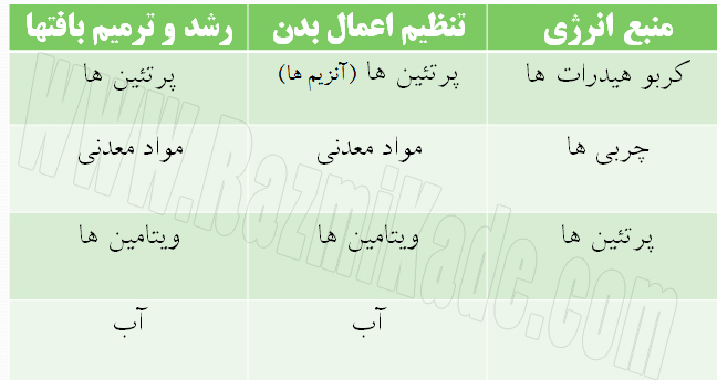 روی غذاهایی که سرشار از پتاسیم، فیبر، کلسیم و ویتامین D هستند تمرکز کنید، زیرا این مواد مغذی در رژیم‌های غذایی سنتی کمبود دارند.